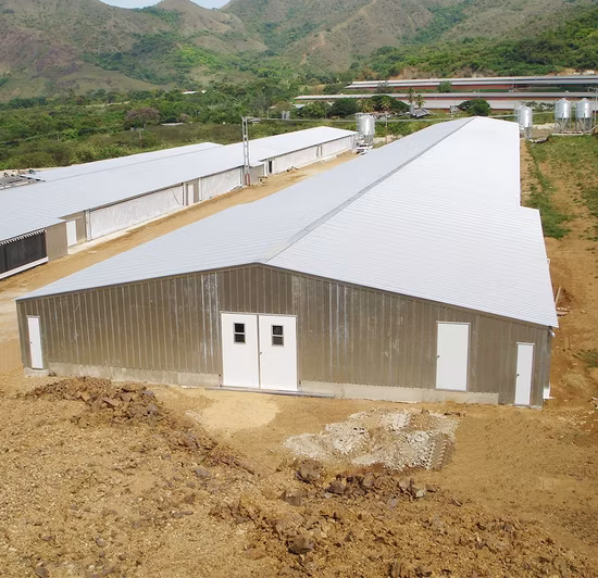 プレハブの軽い鋼鉄の倉庫の鉄骨建物の倉庫の小屋の格納庫の鉄骨構造